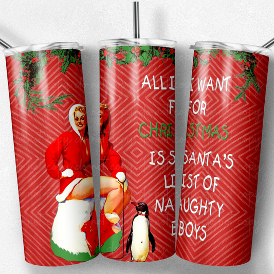 All I Want For Christmas is Santa's List Of Naughty Boys  20oz Skinny Tumbler Grape Vine Wholesale